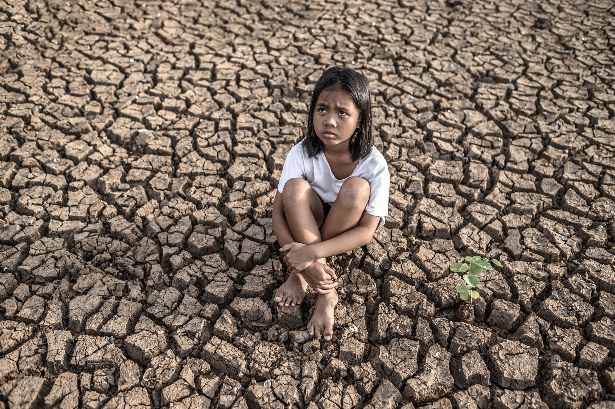 girls-sitting-hugging-their-knees-looking-sky-having-trees-dry-ground